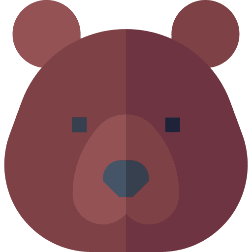 Bear fauna zoo animal kingdom icon