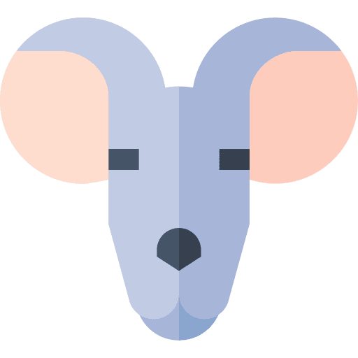 Rat rodent animal kingdom rat icon