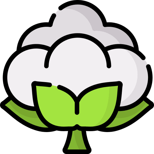 Cotton cotton garden textile icon