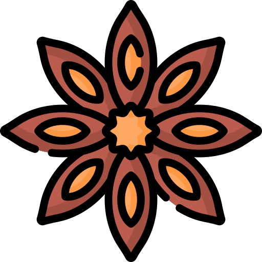 Anise anise spice smell icon Anise anise spice smell icon
