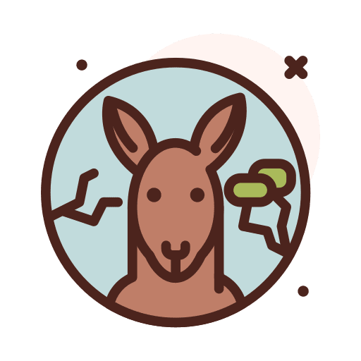 Kangaroo animal kingdom mammal australia icon