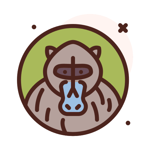 Mandrill zoo mammal wildlife icon