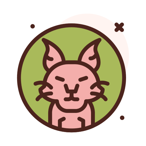 Cat animals pet animal kingdom icon