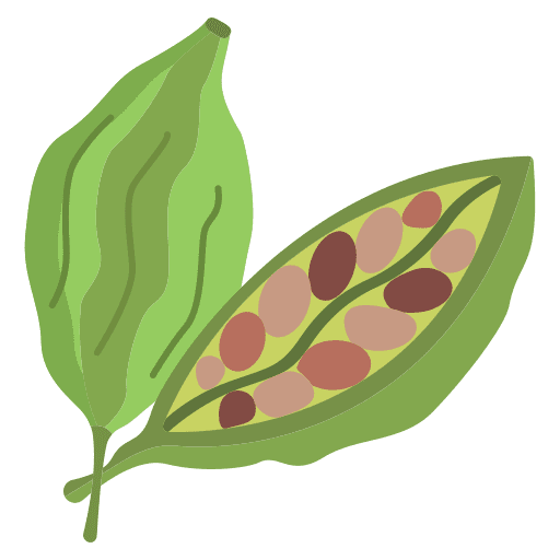 Cardamom cooking plant food and restaurant icon