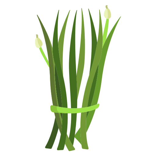 Chives chives vegan bunch icon Chives chives vegan bunch icon