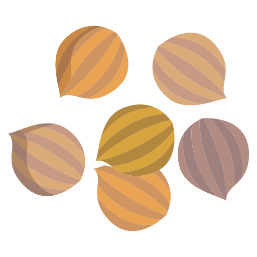 Coriander seed coriander spice icon Coriander seed coriander spice icon