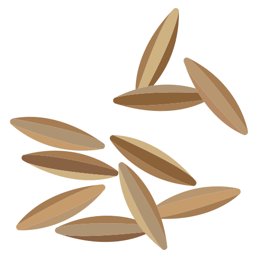 Cumin cooking spice nature icon