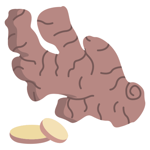 Ginger spice additive ginger icon Ginger spice additive ginger icon