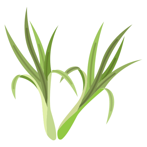 Lemon plant grass lemon icon Lemon plant grass lemon icon