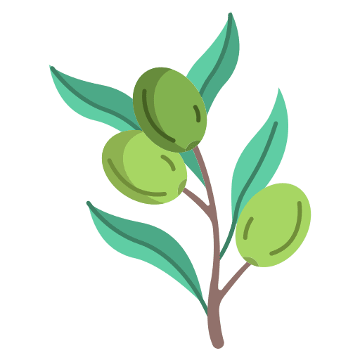 Olives olives nature healthy food icon Olives olives nature healthy food icon