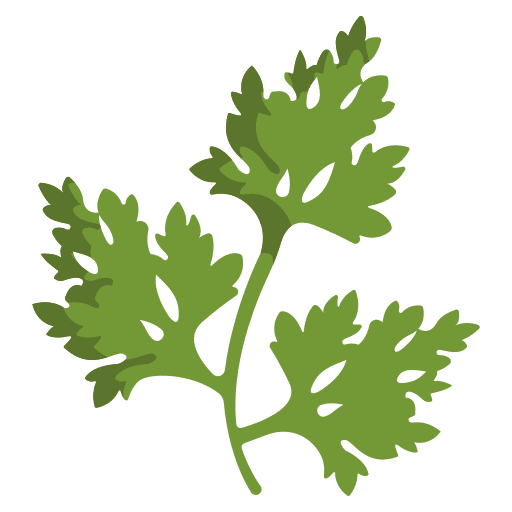 Parsley nature parsley plant icon