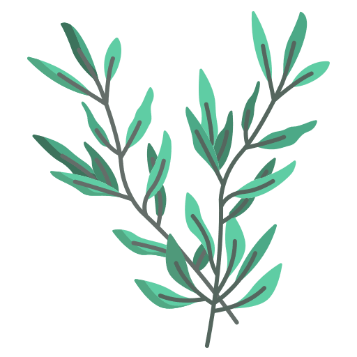 Rosemary aromatic nature leaves icon