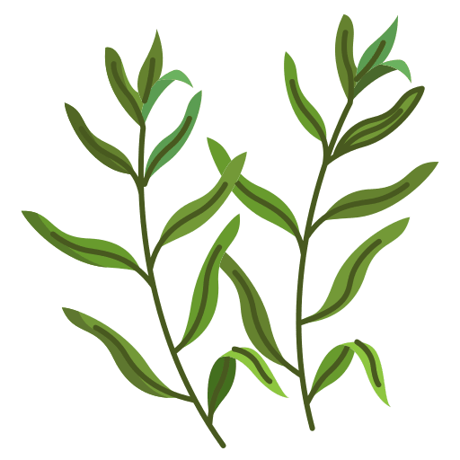 Tarragon cooking herb tarragon icon Tarragon cooking herb tarragon icon