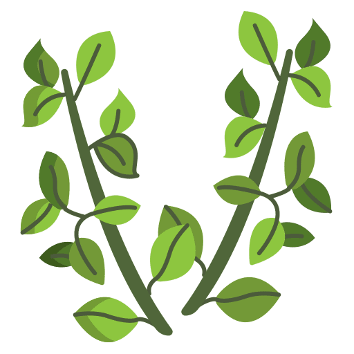 Thyme nature spice thyme icon