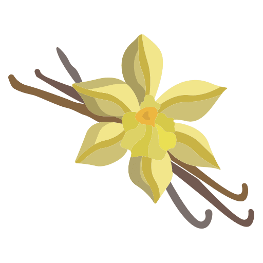 Vanilla flower vanilla nature icon