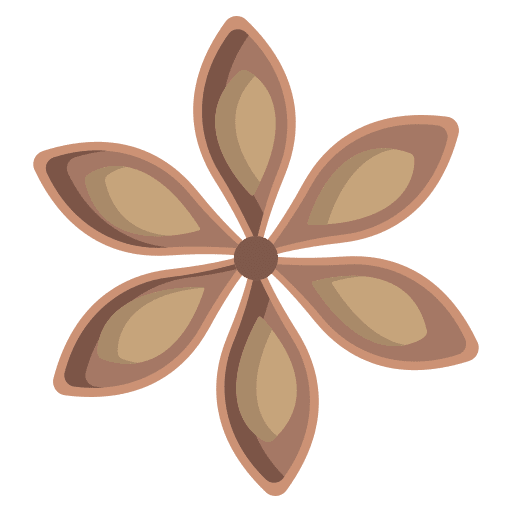 Anise anise smell cooking icon Anise anise smell cooking icon