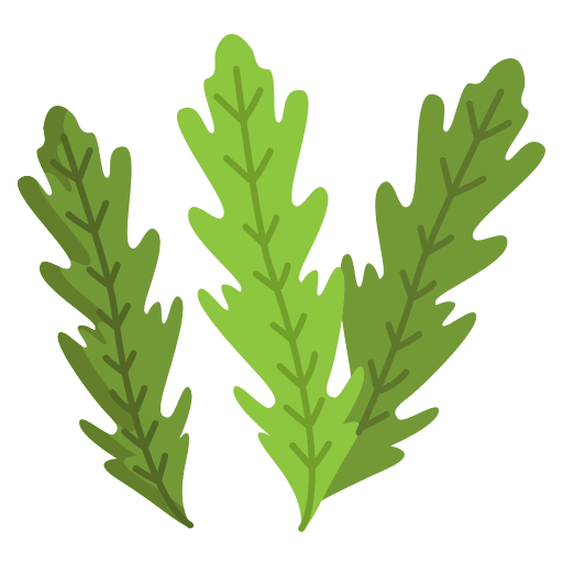 Arugula food and restaurant diet healthy food icon Arugula food and restaurant diet healthy food icon