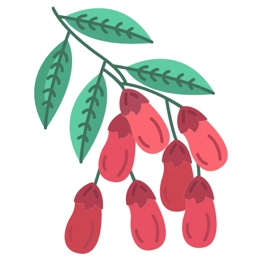 Barberry food nature plant icon Barberry food nature plant icon