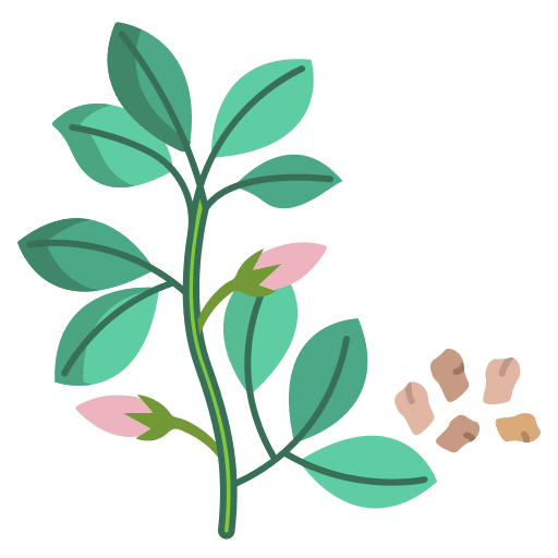 Dill diet healthy food organic icon Dill diet healthy food organic icon