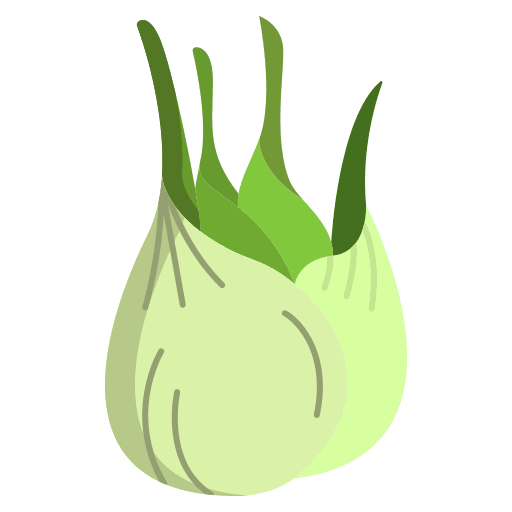 Fennel vegetable nutrition fennel icon Fennel vegetable nutrition fennel icon