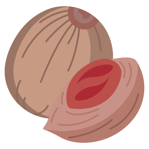 Nutmeg cooking culinary food and restaurant icon Nutmeg cooking culinary food and restaurant icon