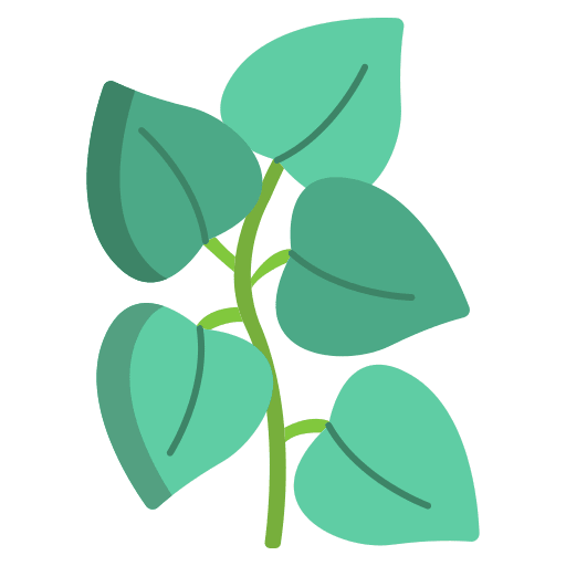 Oregano spice oregano plant icon Oregano spice oregano plant icon