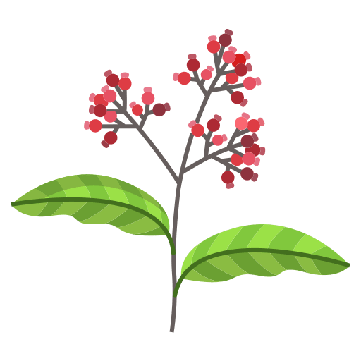Pepper leaf nature pepper icon Pepper leaf nature pepper icon