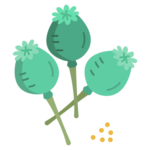 Poppy flower petals blossom icon Poppy flower petals blossom icon