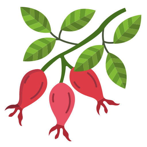 Rosehip rosehip petal plant icon Rosehip rosehip petal plant icon