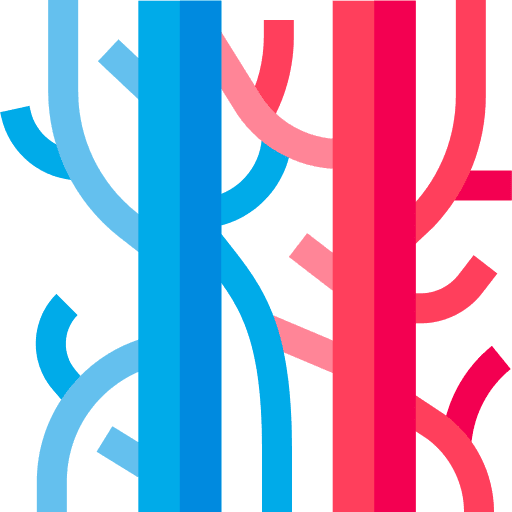Blood vessel veins circulatory system human body icon