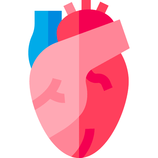 Heart heart anatomy human body icon