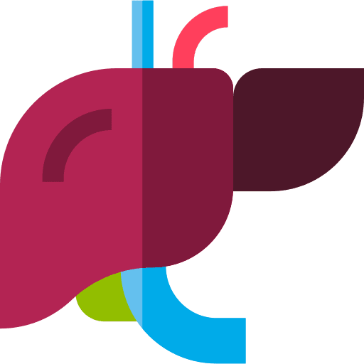 Liver healthcare and medical transplant anatomy icon Liver healthcare and medical transplant anatomy icon