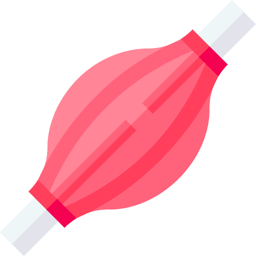 Muscle healthcare and medical anatomy muscle icon