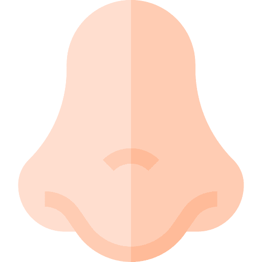 Nose body part anatomy sense icon Nose body part anatomy sense icon