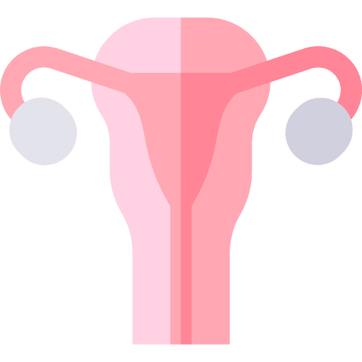 Ovary female organs healthcare and medical uterus icon Ovary female organs healthcare and medical uterus icon