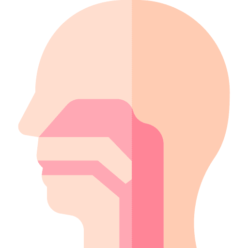 Pharynx human body pharynx healthcare and medical icon