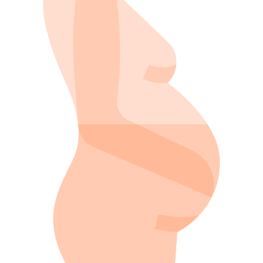 Pregnancy motherhood female body pregnancy icon Pregnancy motherhood female body pregnancy icon