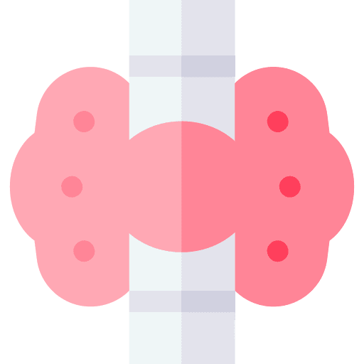 Thyroid thyroid human body body organ icon Thyroid thyroid human body body organ icon