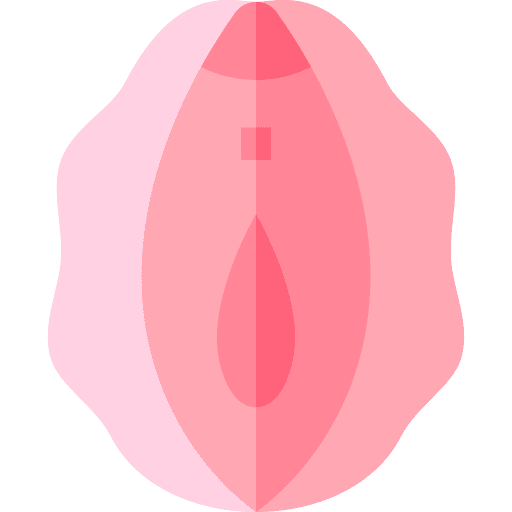 Vulva anatomy healthcare and medical gynecology icon