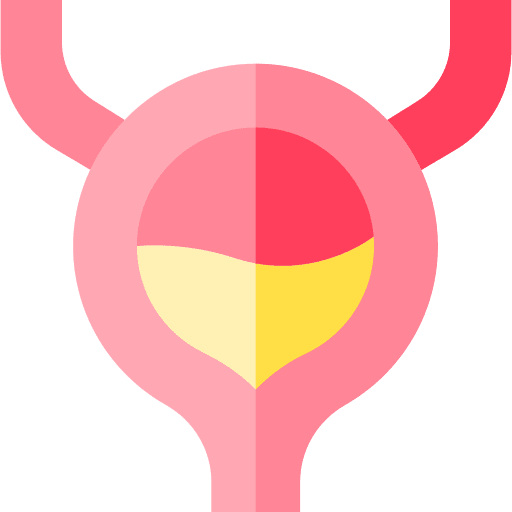 Bladder body part anatomy body organ icon Bladder body part anatomy body organ icon
