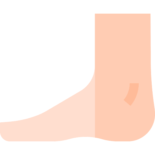 Foot human body feet ankle icon Foot human body feet ankle icon