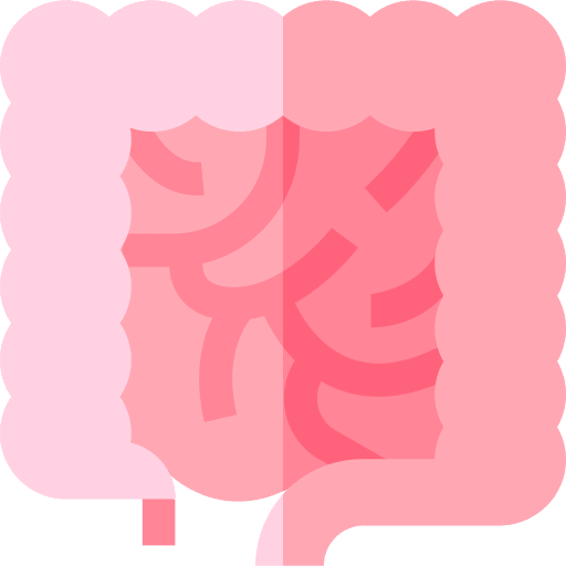 Intestine gastroenterology anatomy human body icon Intestine gastroenterology anatomy human body icon