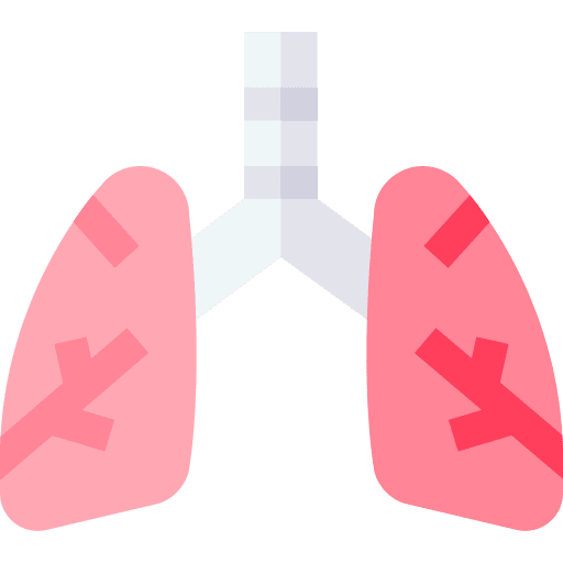 Lungs breath lungs healthcare and medical icon Lungs breath lungs healthcare and medical icon