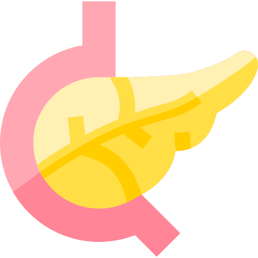 Pancreas body part body organ endocrine system icon Pancreas body part body organ endocrine system icon