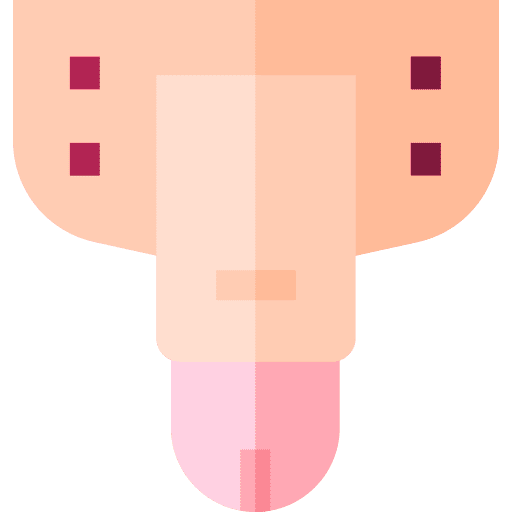 Penis body part human body male body icon Penis body part human body male body icon