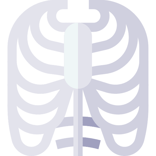 Ribs rib cage anatomy thorax icon Ribs rib cage anatomy thorax icon