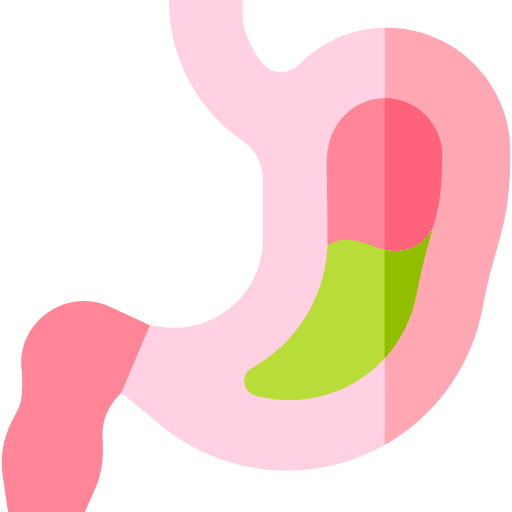 Stomach stomach healthcare and medical digestive system icon Stomach stomach healthcare and medical digestive system icon