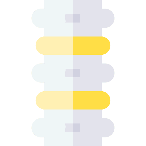 Backbone spine backbone body part icon Backbone spine backbone body part icon