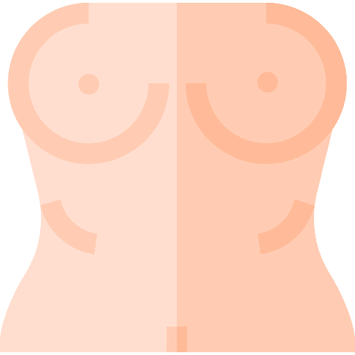 Bosom healthcare and medical female anatomy icon Bosom healthcare and medical female anatomy icon