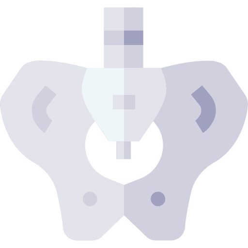 Pelvis pelvis bones hip icon Pelvis pelvis bones hip icon